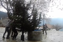 Χριστουγεννιάτικο Δέντρο 2011