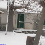 sdc13334